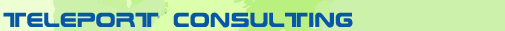 Teleport Consulting Group International, L.L.C.
